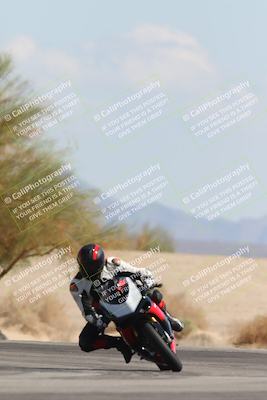 media/Oct-13-2025-Moto Forza (Mon) [[a66d839500]]/3-B Group/Session 4 Turn 4 Tree of Life/